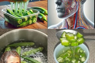 Discover the Incredible Health Benefits of Okra: A Nutrient-Packed Superfood