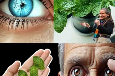 The Ultimate Herbal Remedy for Eye Care: A Simple Solution to Keep Your Vision Healthy