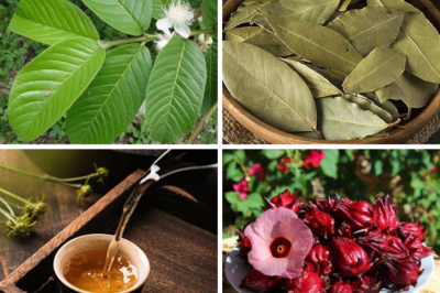 The Power of Natural Remedies: A Simple Herbal Mixture for Better Health