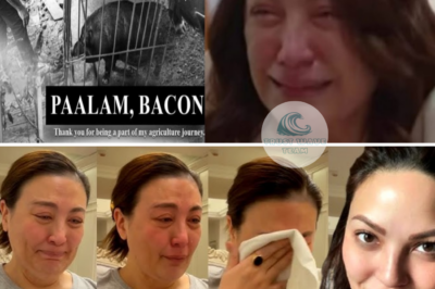 Sharon Cuneta in TEARS! Attacked by Netizens in a SHOCKING Outburst! /LO