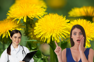 20 Reasons to Gather Dandelion Blooms Until Your Fingers Turn Yellow