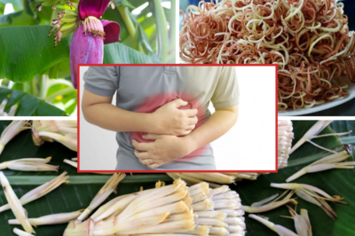 Banana Blossom: Health Benefits, Recipes, and Uses!