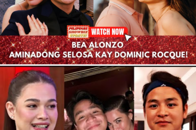 Bea Alonzo IPINAKILALA NA ANG NEW BOYFRIEND! 😱😱😱