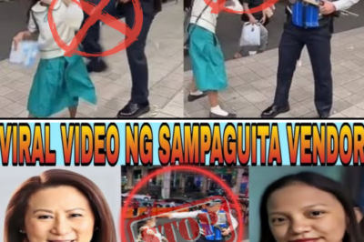 Henry Sy’s Daughter Speaks Out on Security Guard’s Misconduct Towards Sampaguita Vendor at SM