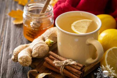 Cinnamon, Lemon, Ginger, and Honey: The Ultimate Combo to Boost Male Vitality